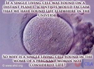 Cellular Life